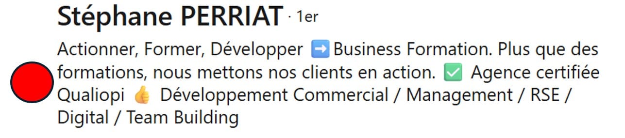Exemple de titre LinkedIn