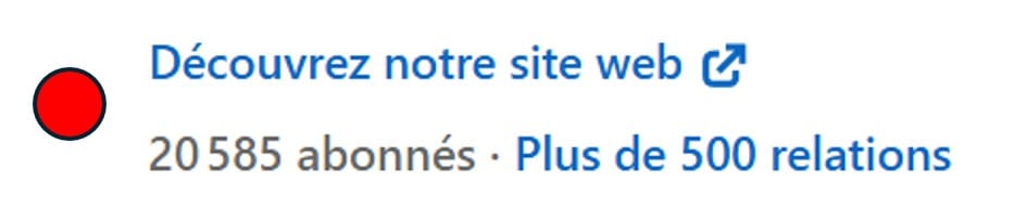 Exemple de liens et coordonnées sur LinkedIn