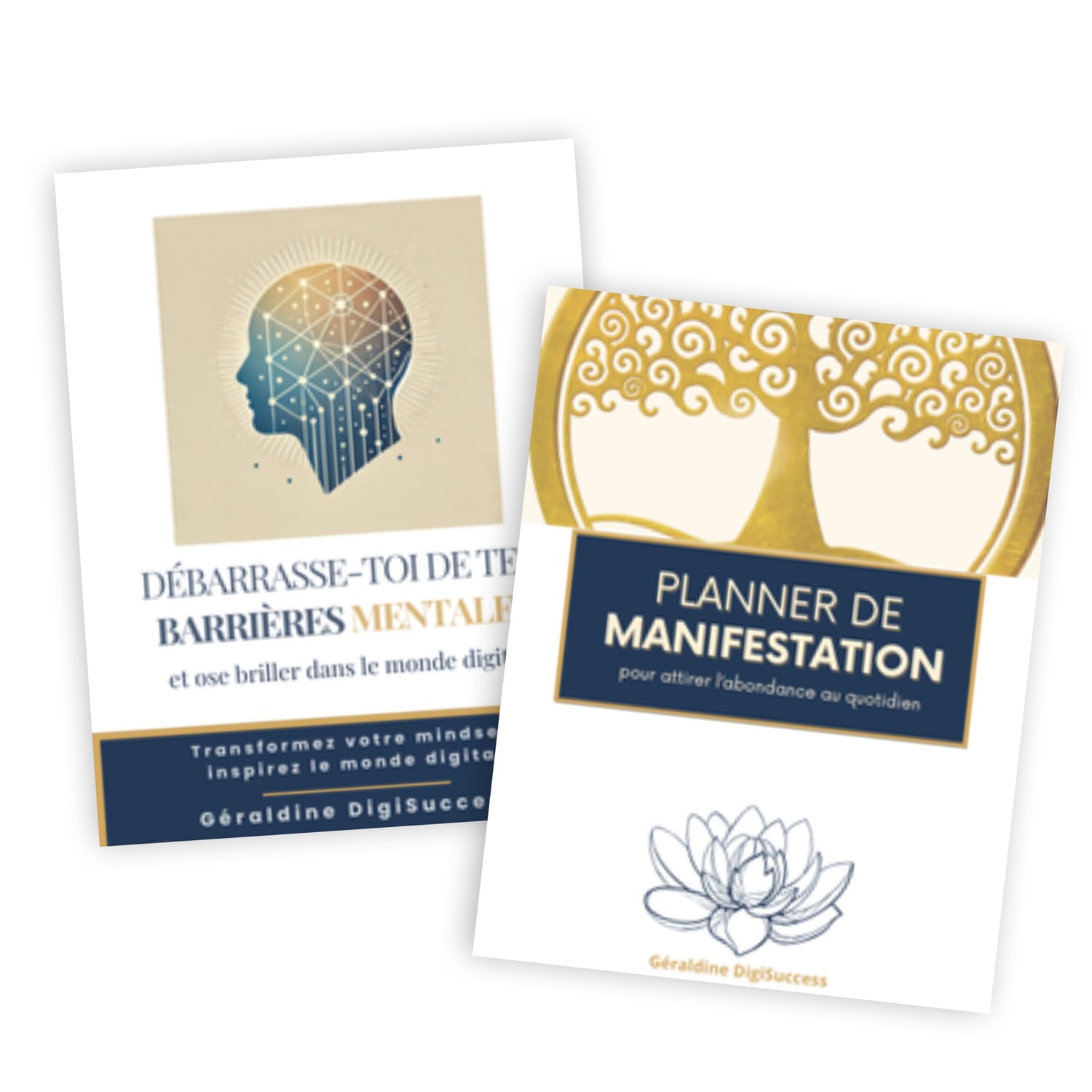 Débarasse-toi de tes barrières mentales & Planner de Manifestation (offert)