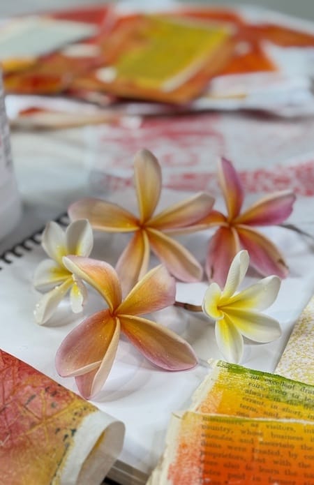 Frangipani / plumeria flowers on a table surrounded by collage papers.