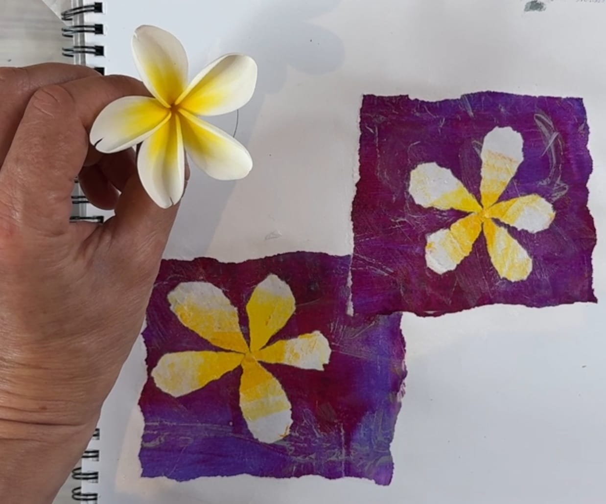 Torn paper collage of frangipani / plumeria flowers. Top down view including a hand holding a fresh flower.