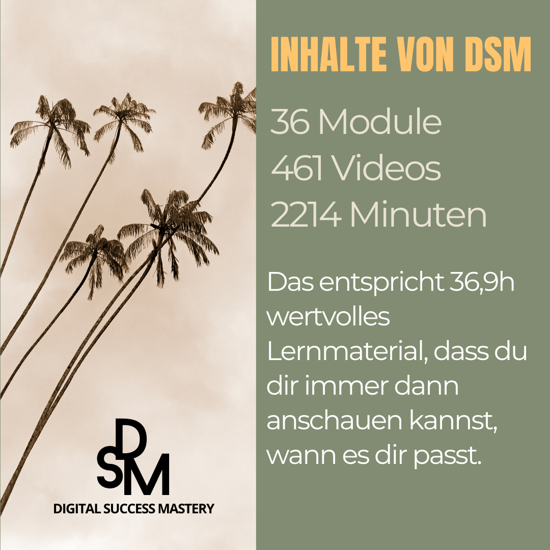 Inhalte DSM Digital Success Mastery Palmen