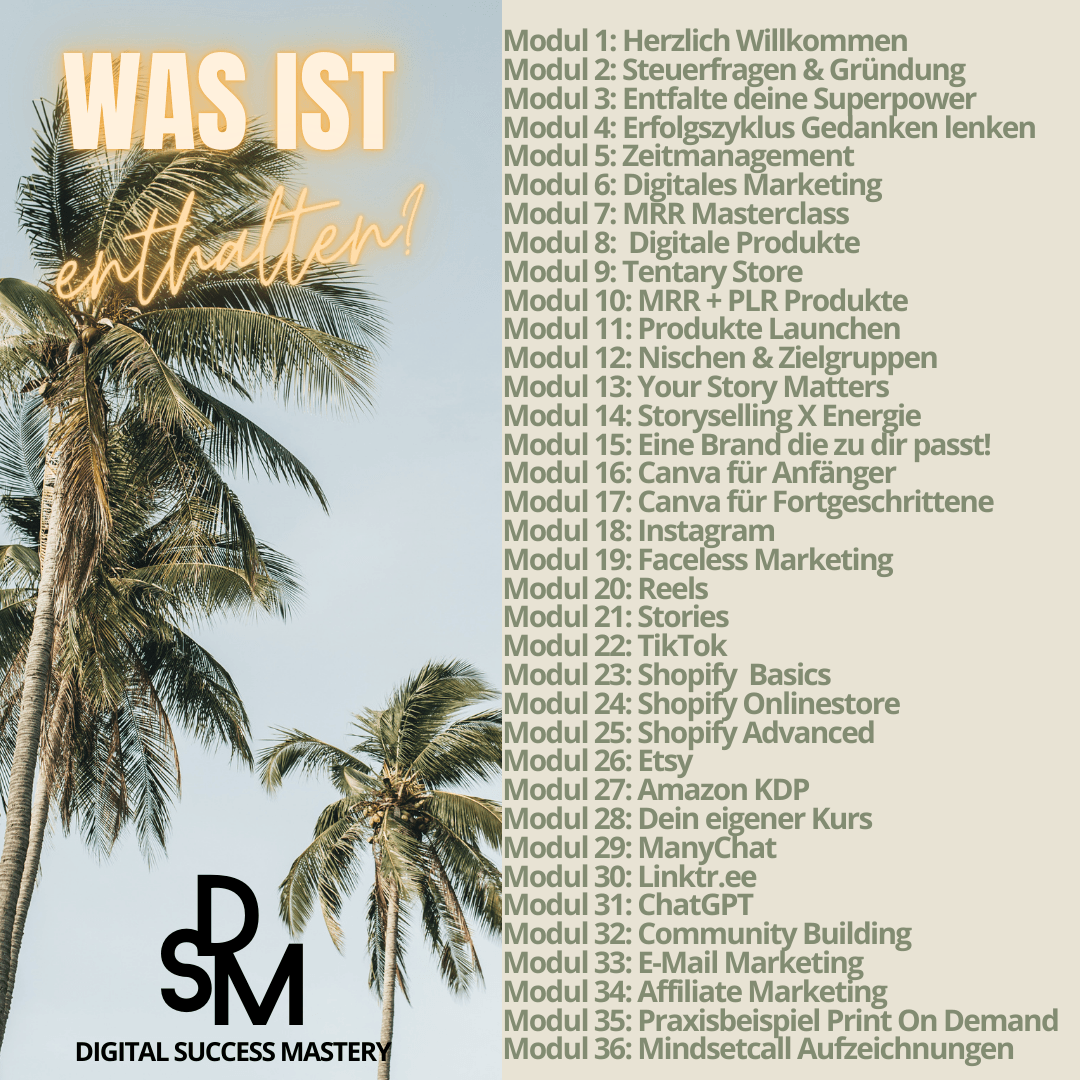 DSM Digital Success Mastery Was ist enthalten?