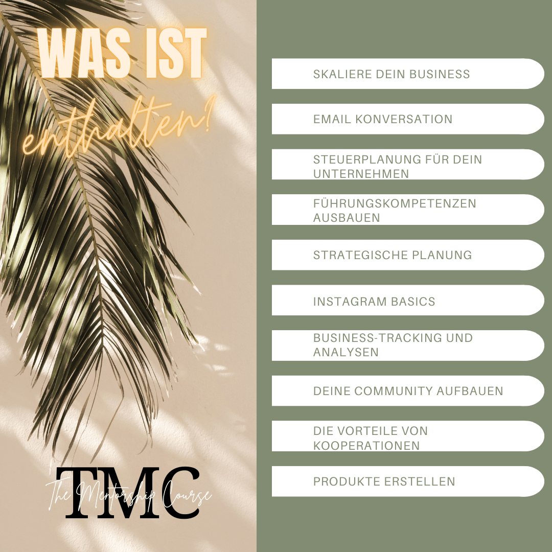 TMC The Mentorship Cours was ist enthalten