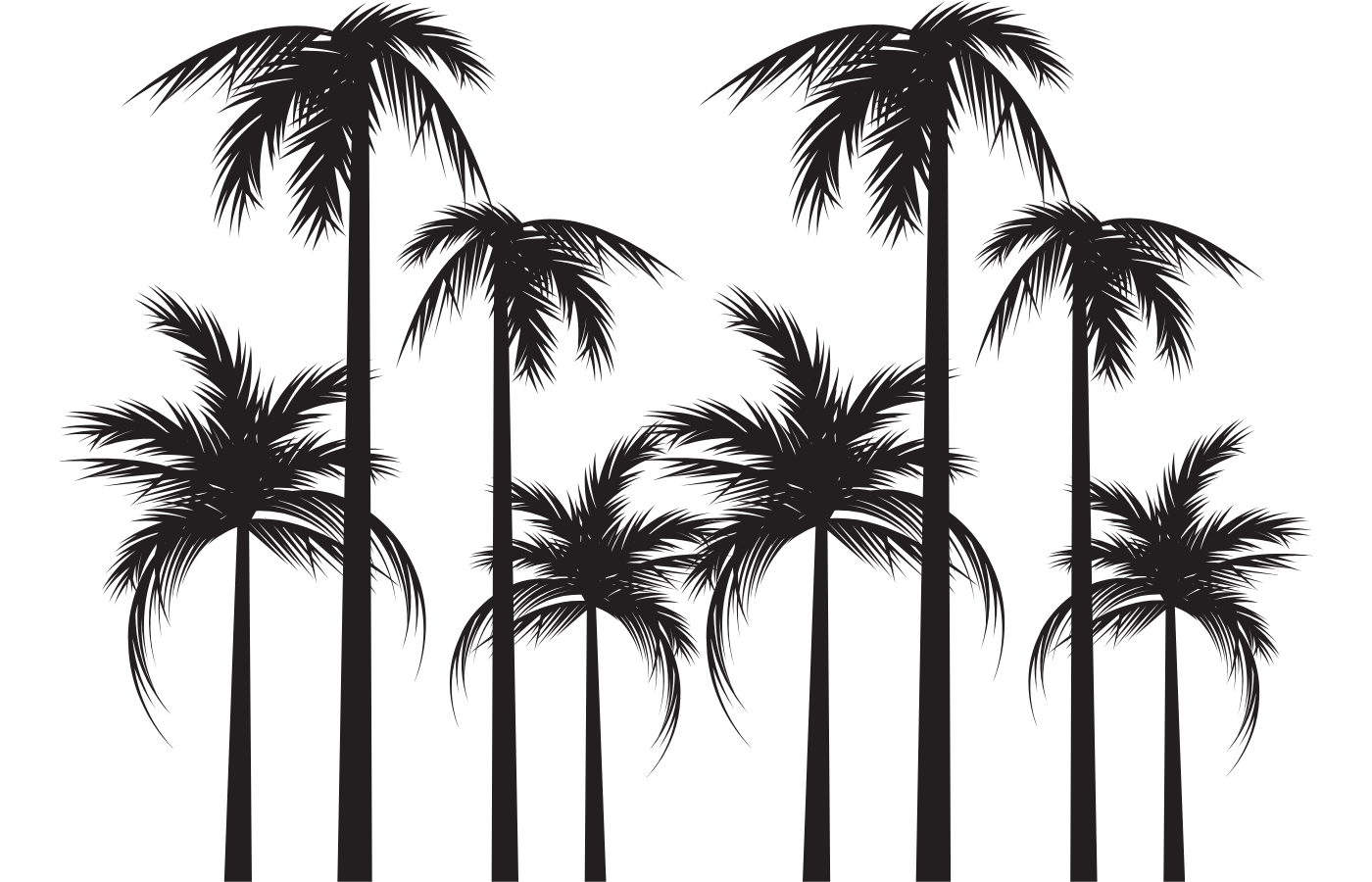 Palmen Grafik schwarz