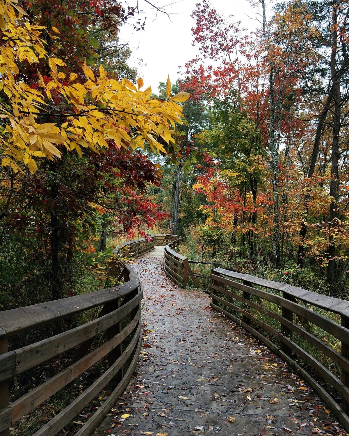 Hiking trail in Alabama USA