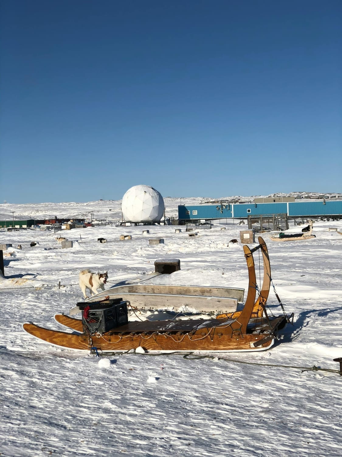 Sled and a Dog on a Snow Covered Ground