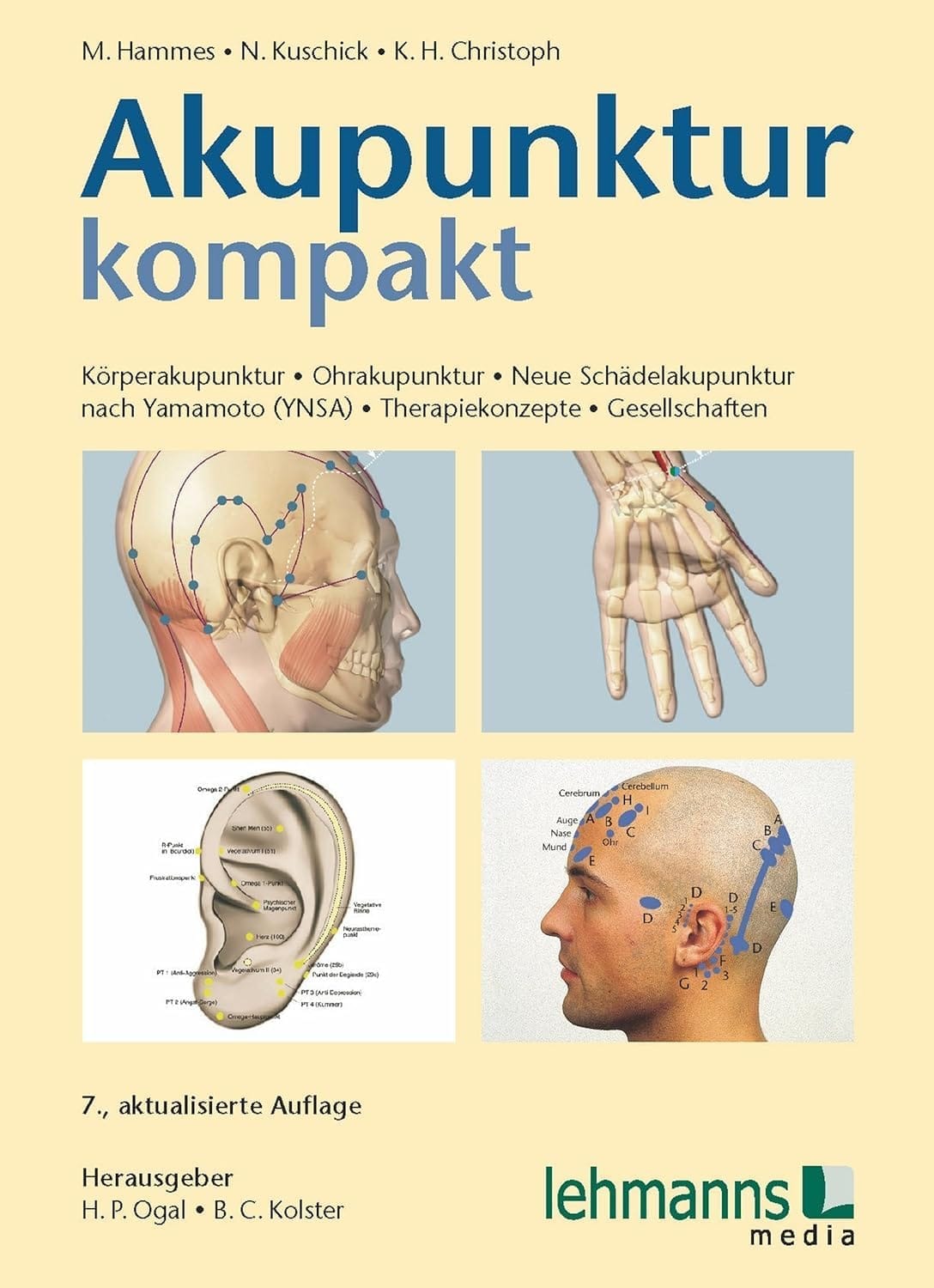 Buch Akupunktur kompakt