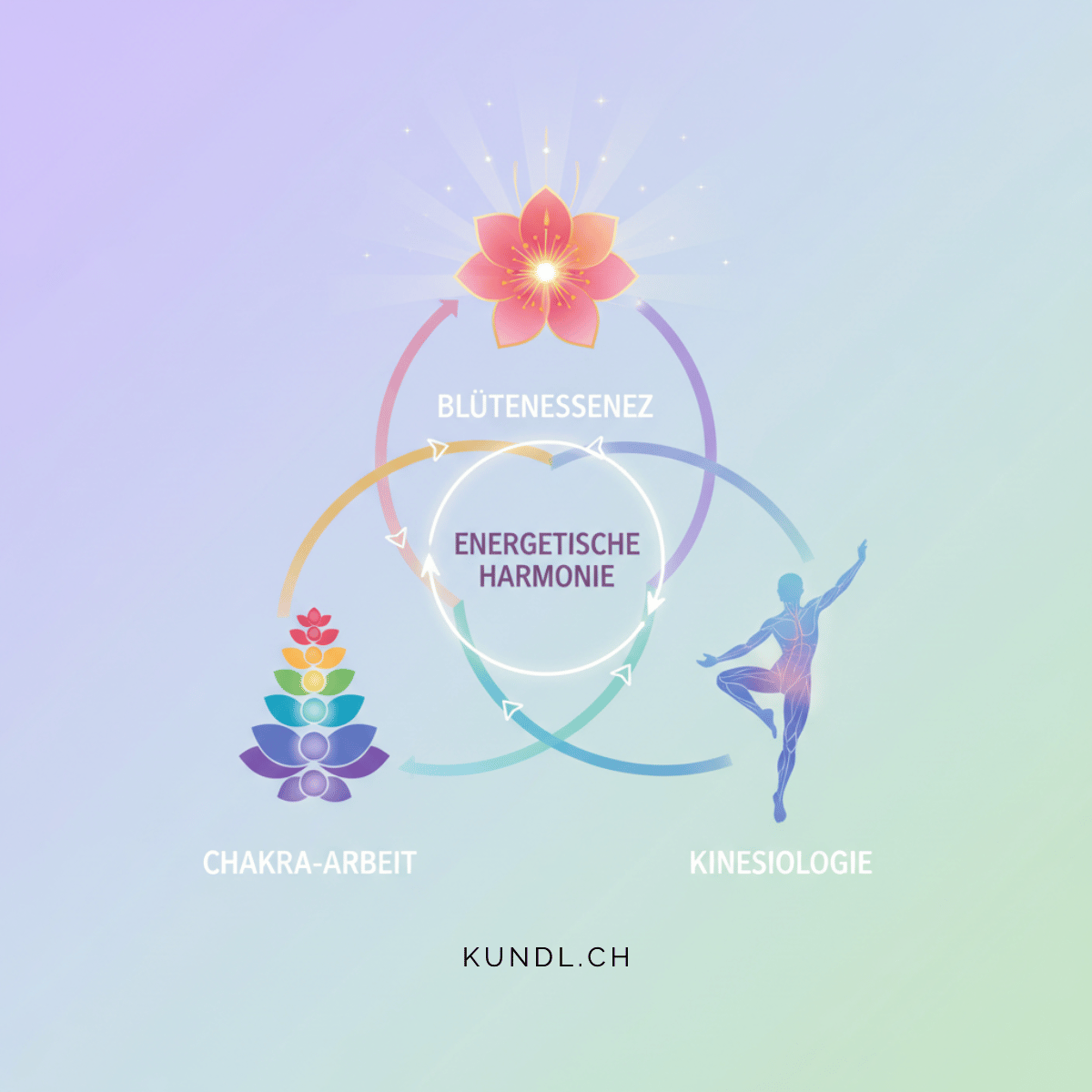 Verbindung von Blütenessenzen, Chakra-Arbeit und Kinesiologie