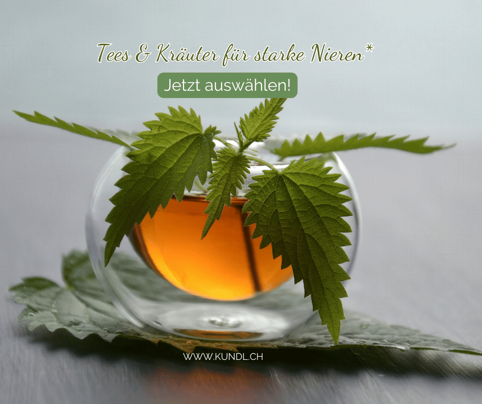Ein Glas Brennnesseltee für starke Nieren