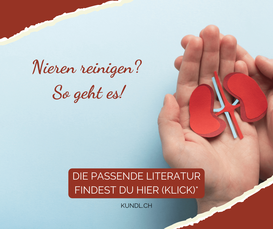 Papier-Nieren in den Händen