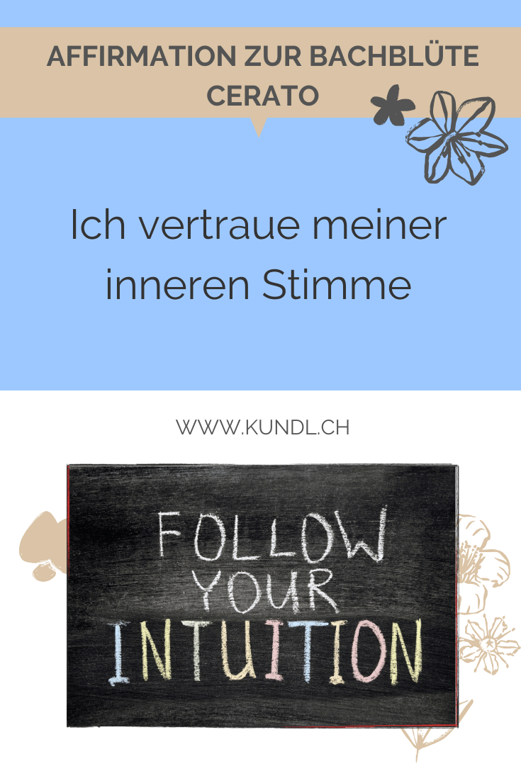 Tafel beschrieben mit den Worten Folge Deiner Intuition