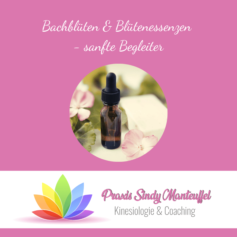 Pinterest Pinwand Cover für Bachblüten & Blütenessenzen