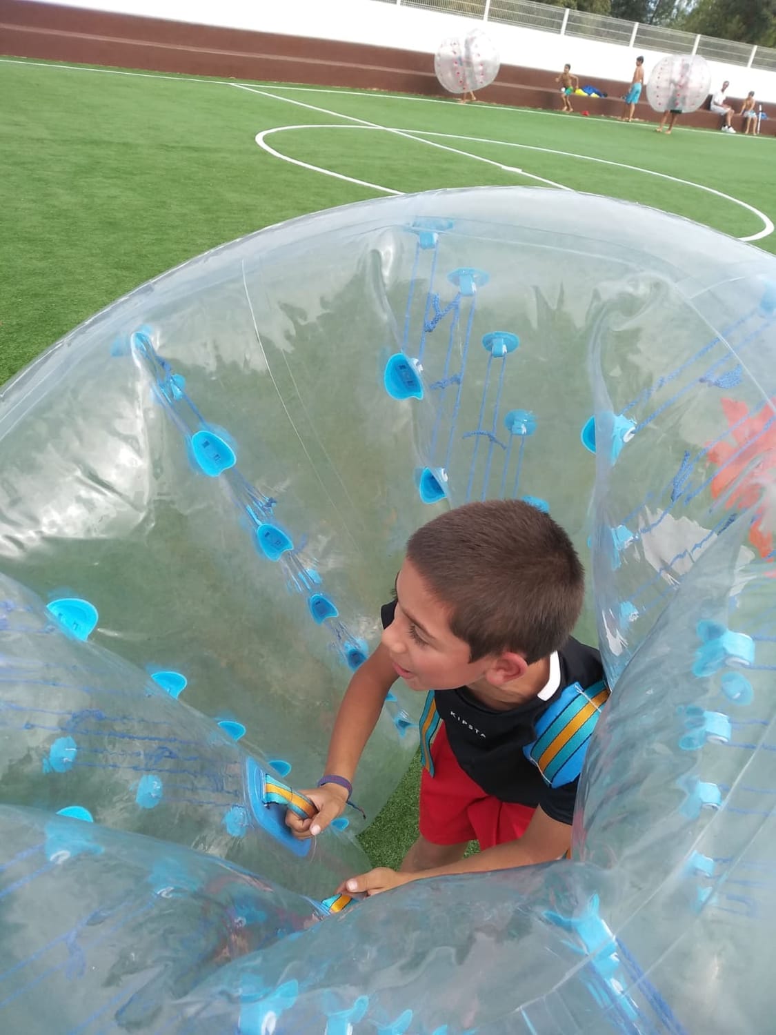 Jogadores dentro de Zorb Balls numa atividade animaNeventos