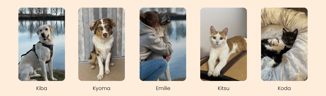 Présentation de Woof et Compagnie – Pet sitter à Marssac-sur-Tarn