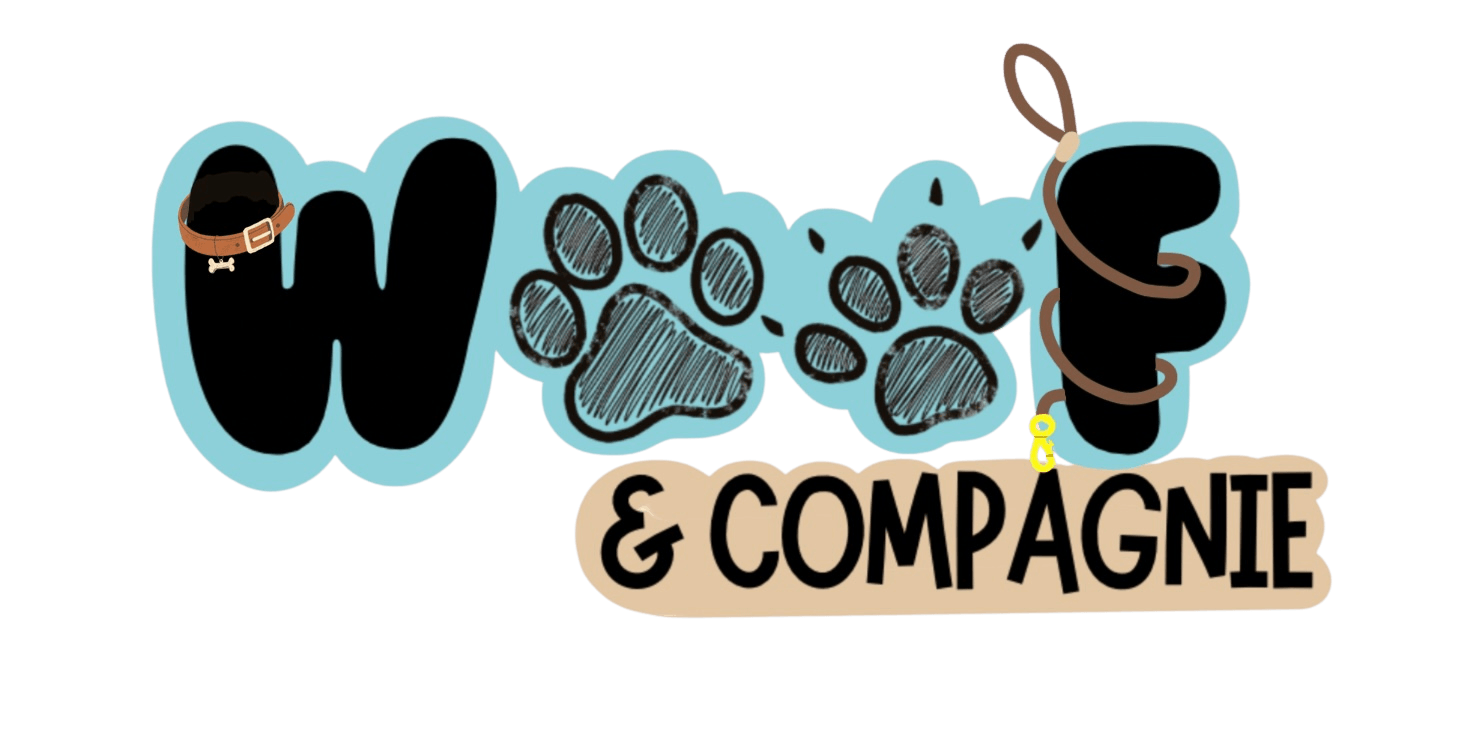 Pet sitter, pet sitting, garde d'animaux tarn