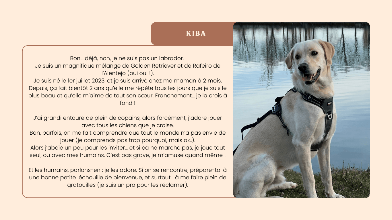 Kiba – Chien de la pet sitter, accueilli à Marssac-sur-Tarn