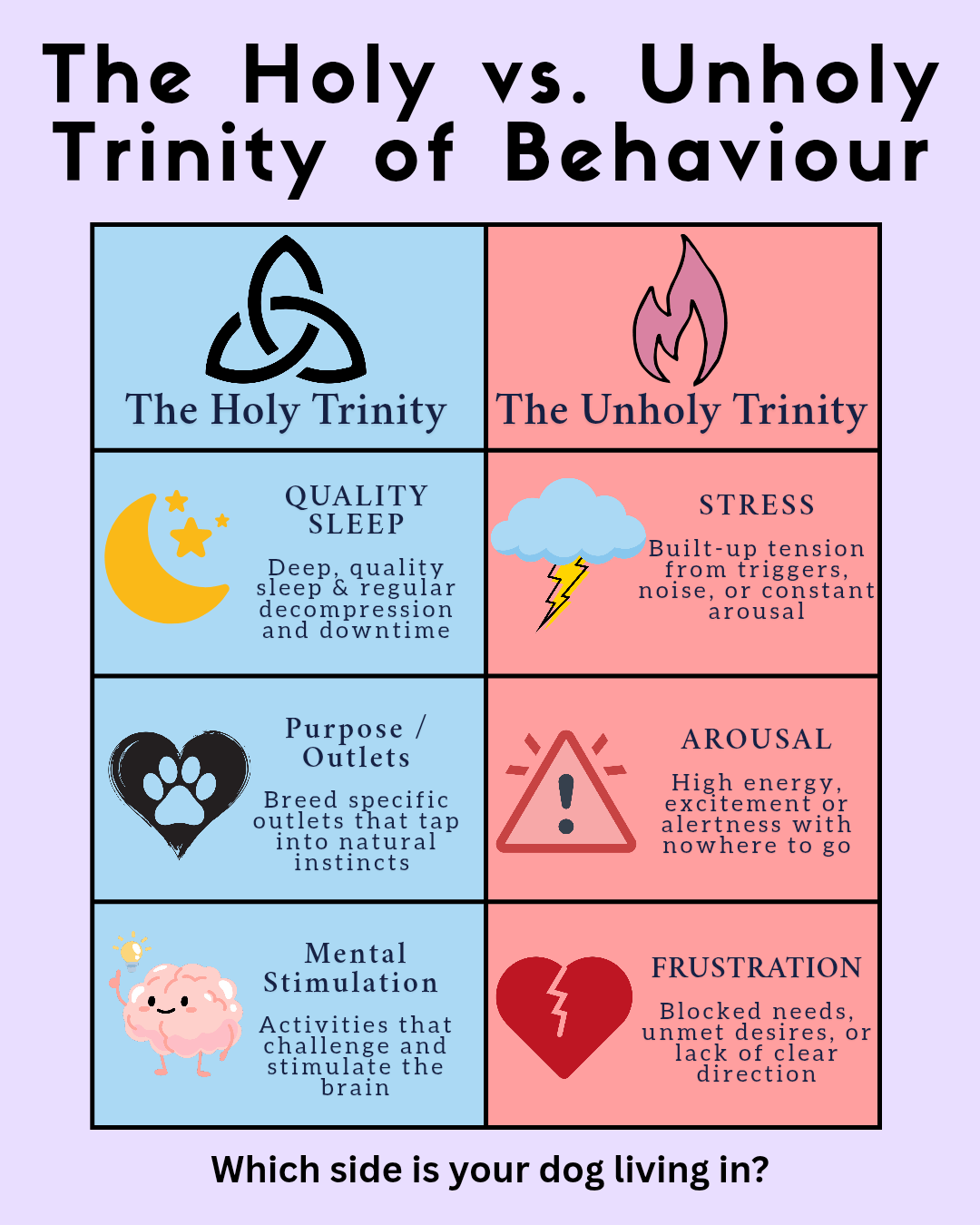 holy trinity of dog behaviour