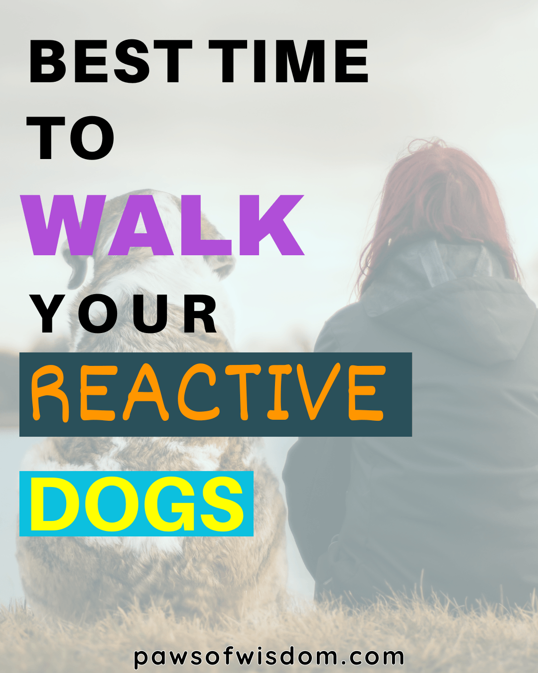 best time to walk a reactive dog pin image