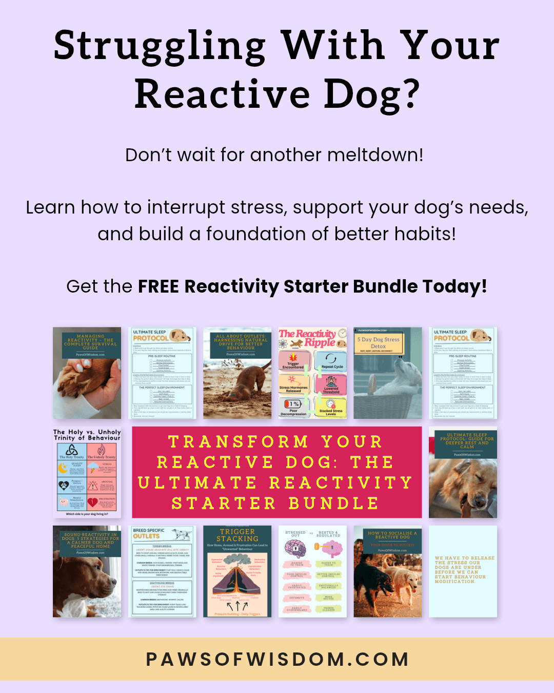 paws of wisdom reactivity starter bundle download