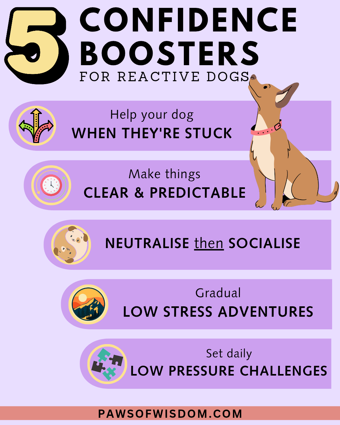 5 confidence building exercises for reactive dogs infographic