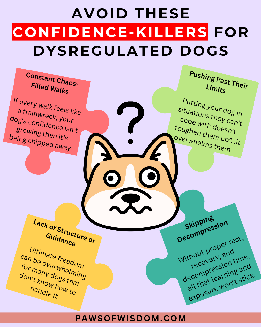 confidence killers to avoid with dysregulated dogs