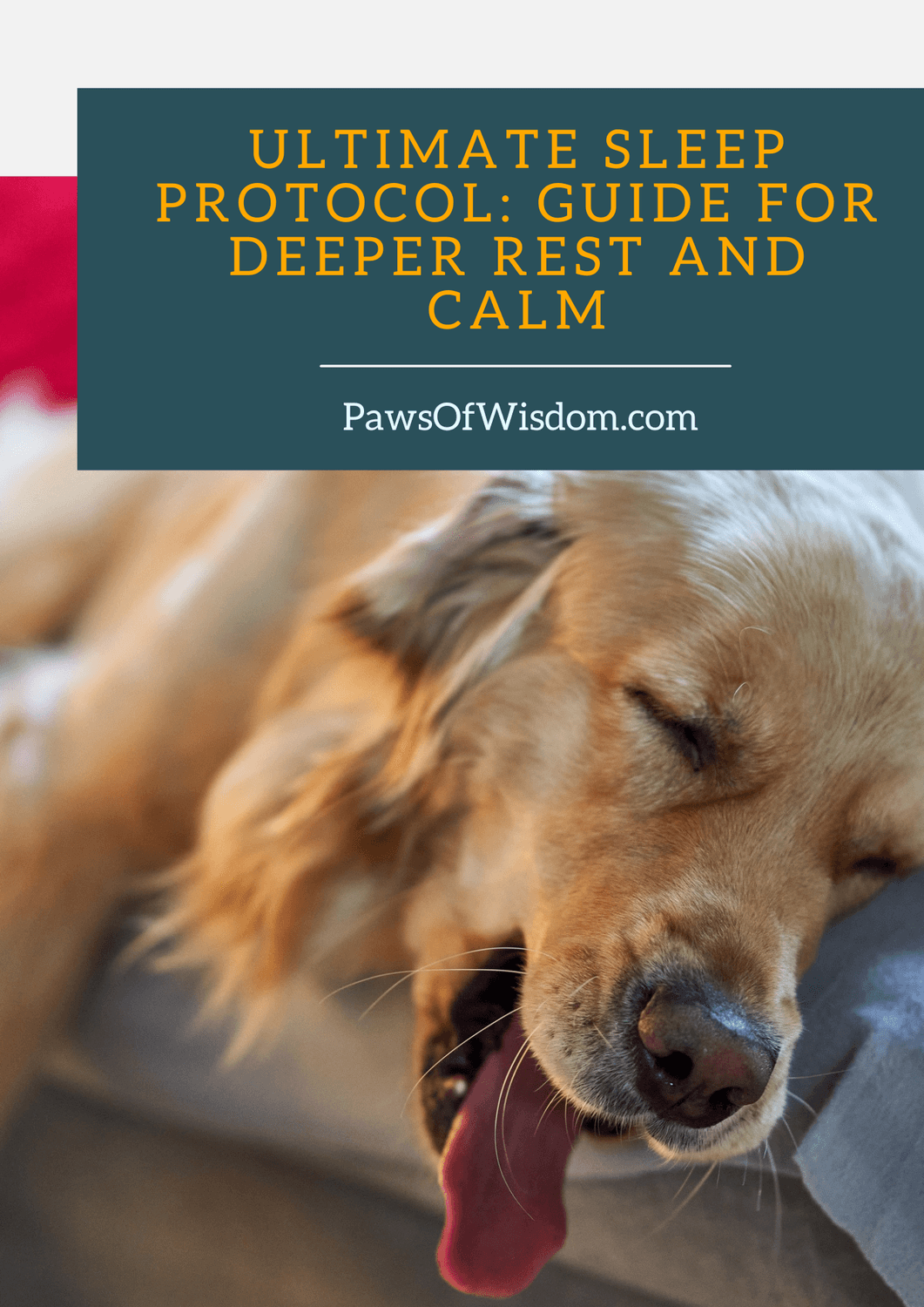 paws of wisdom sleep protocol freebie download