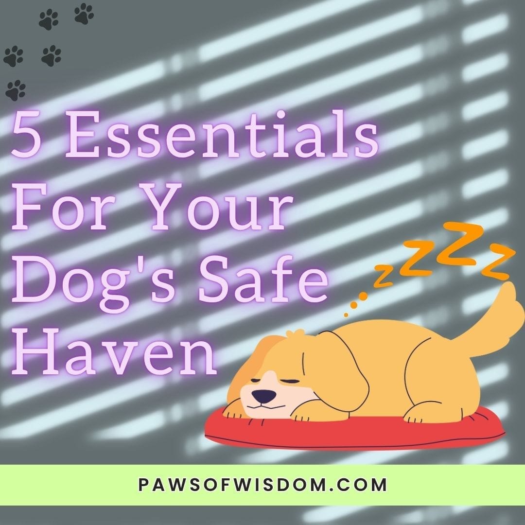 essentials to creating a safe haven carousel