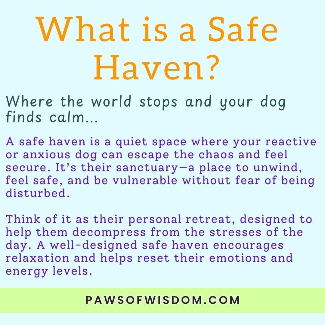 essentials to creating a safe haven carousel