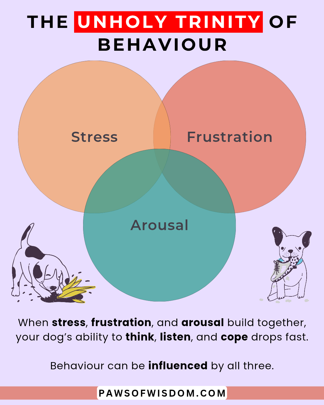 the unholy trinity of behaviour explained, stress, frustration and arousal