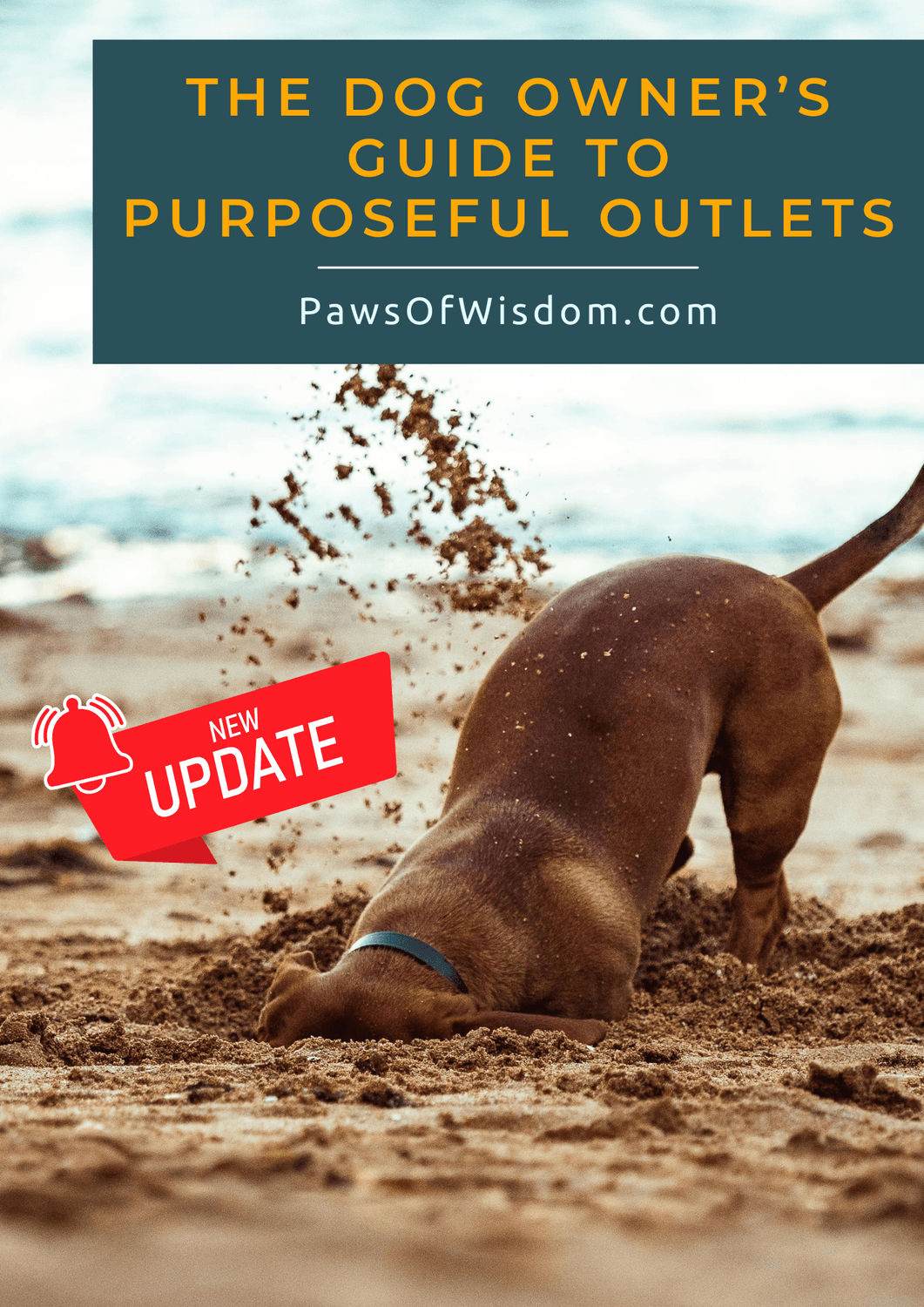 paws of wisdom dog owners guide to pureposeful outlets