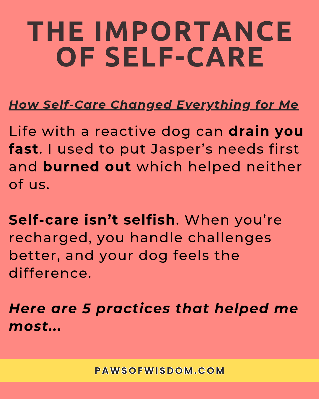 5 self-care practices for dog owners infographic importance of self care