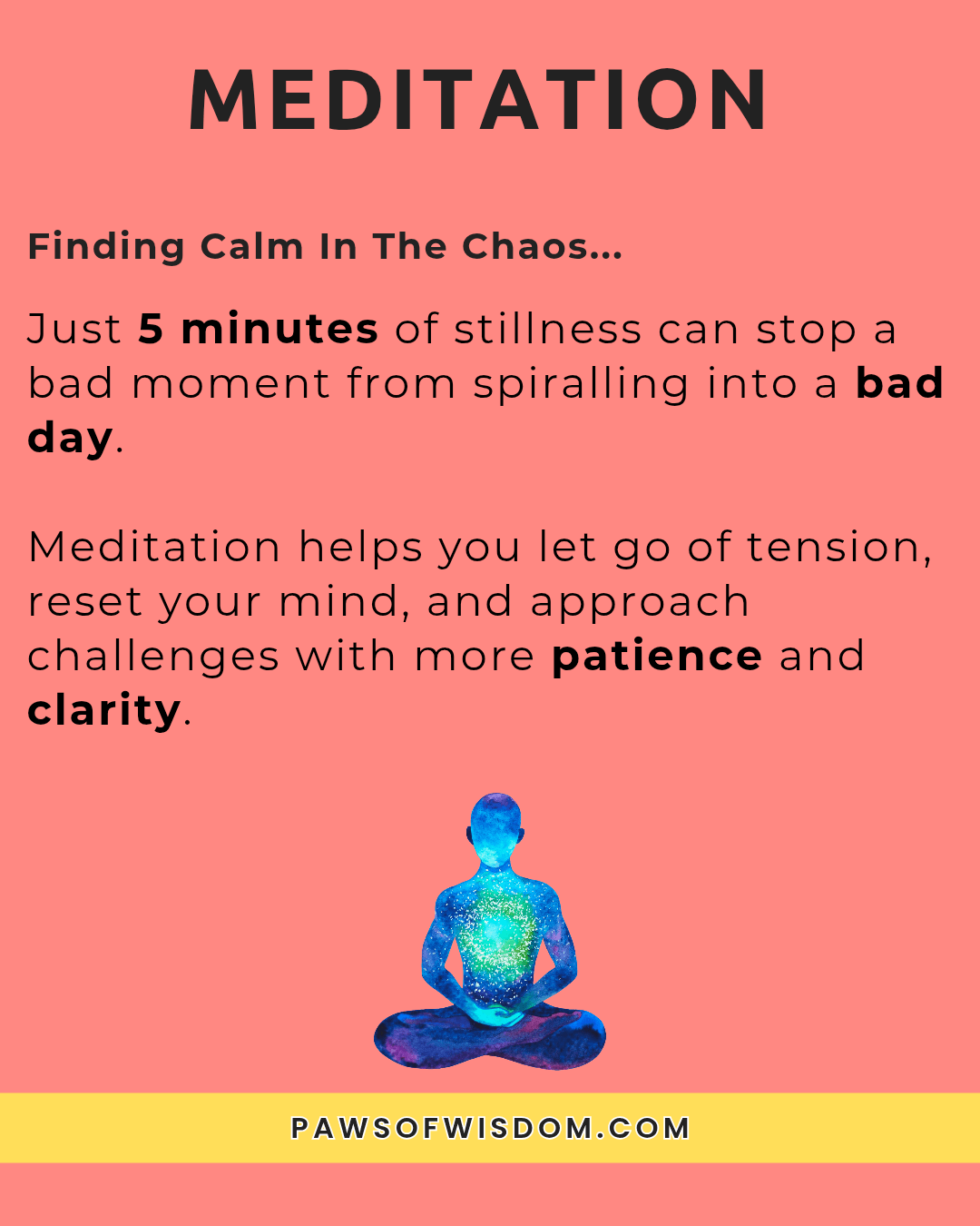 5 self-care practices for dog owners infographic meditation 
