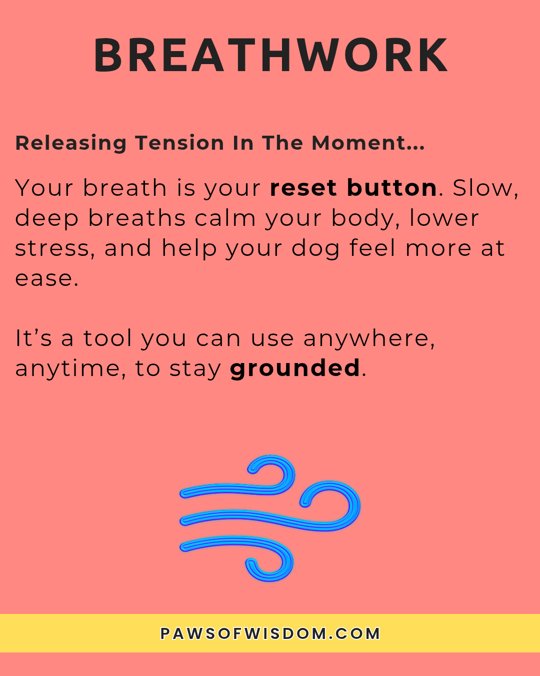 5 self-care practices for dog owners infographic breathwork