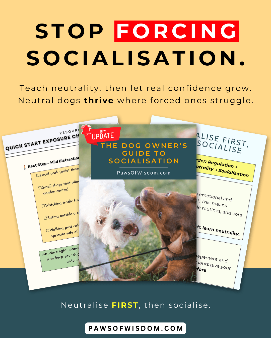 how to socialize a reactive dog