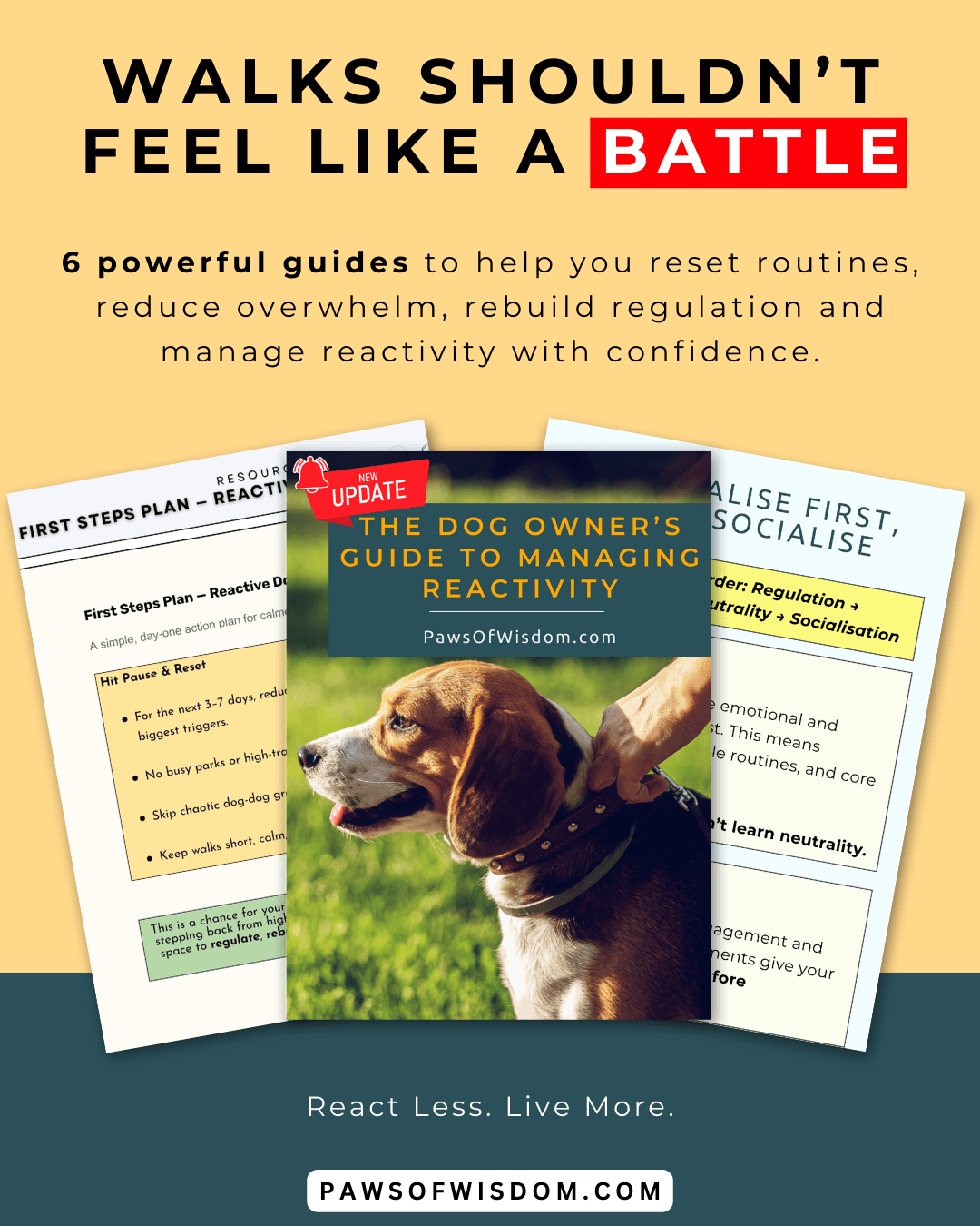 Reactivity Starter Bundle pin image