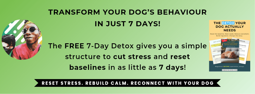 Paws of wisdom 7 day Detox protocol header