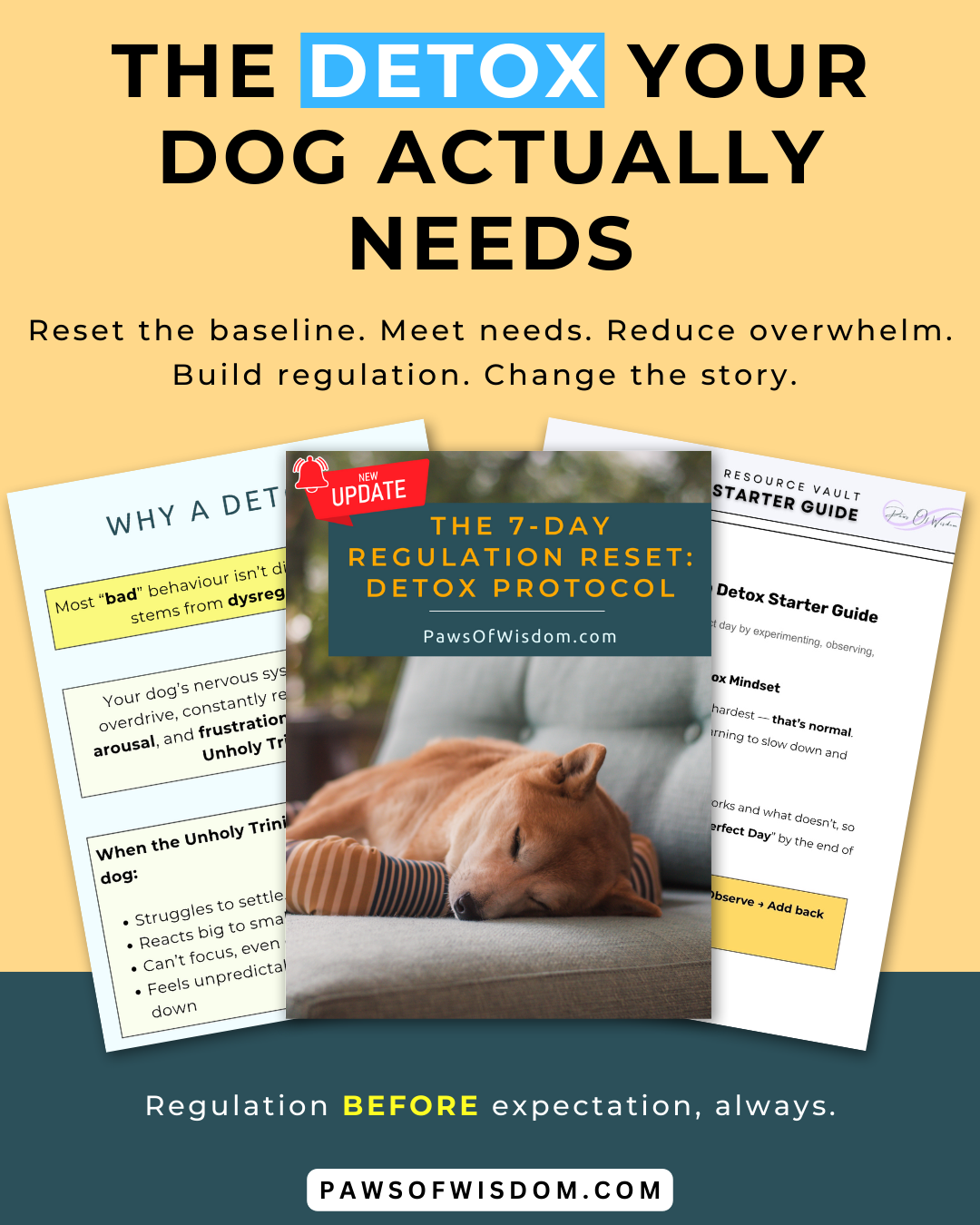 paws of wisdom detox protocol freebie