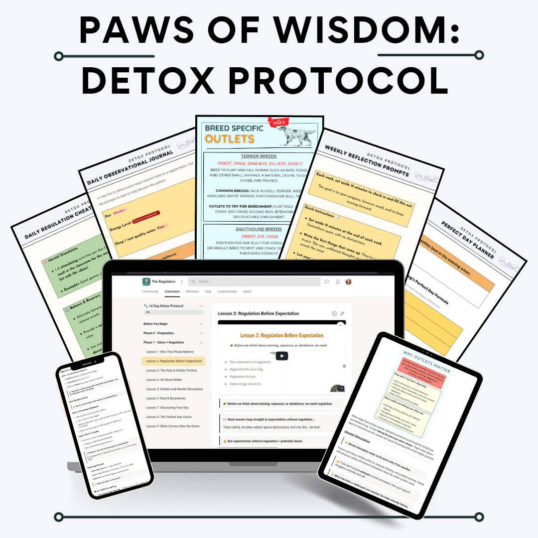 Paws of wisdom protocol sneak peek