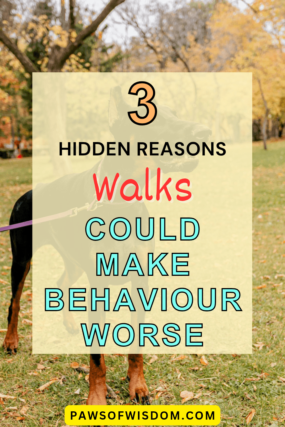 3 hidden reasons walks make things worse blog pin