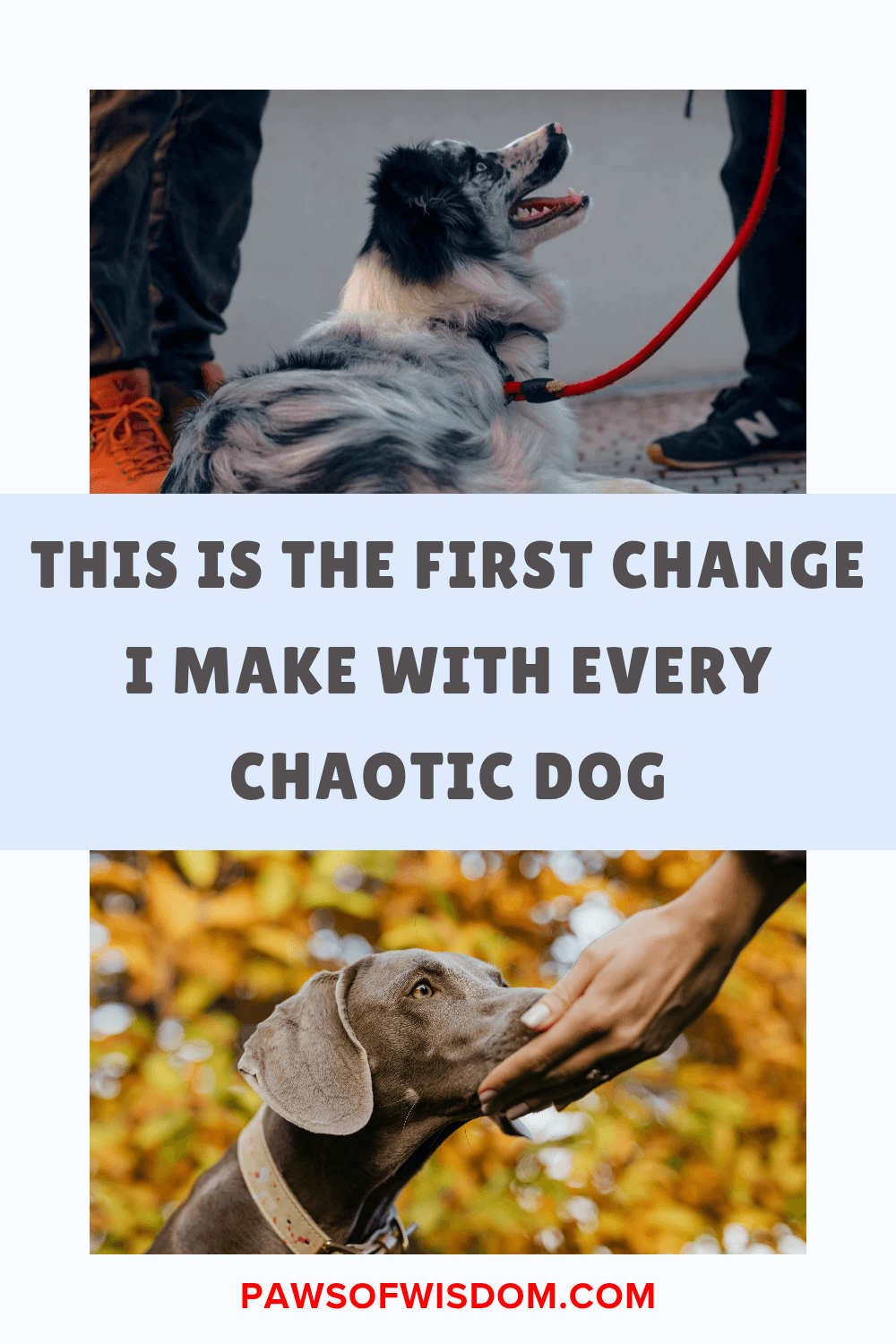 The first change I make with chaotic dogs pin