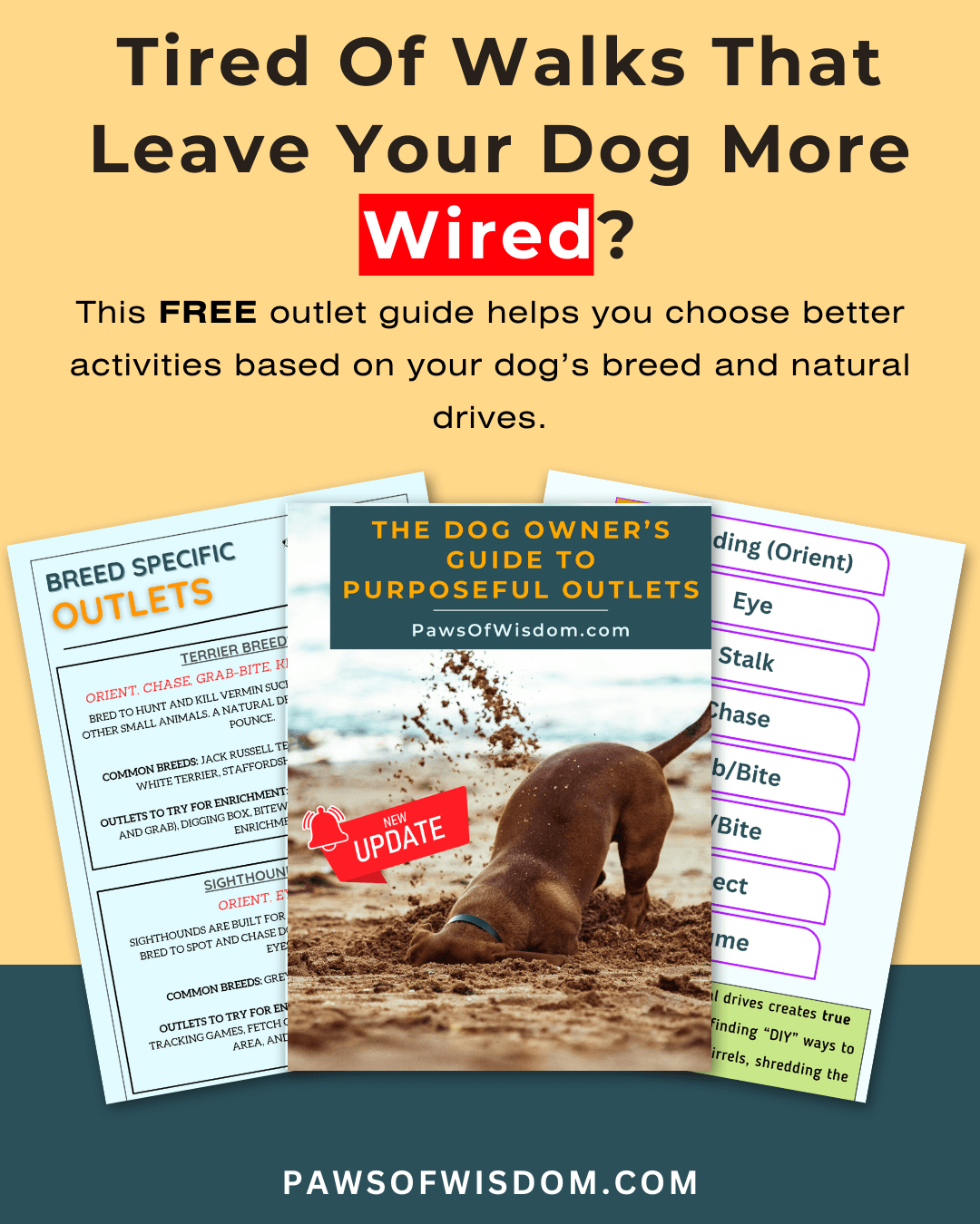 Paws Of Wisdom outlets guide