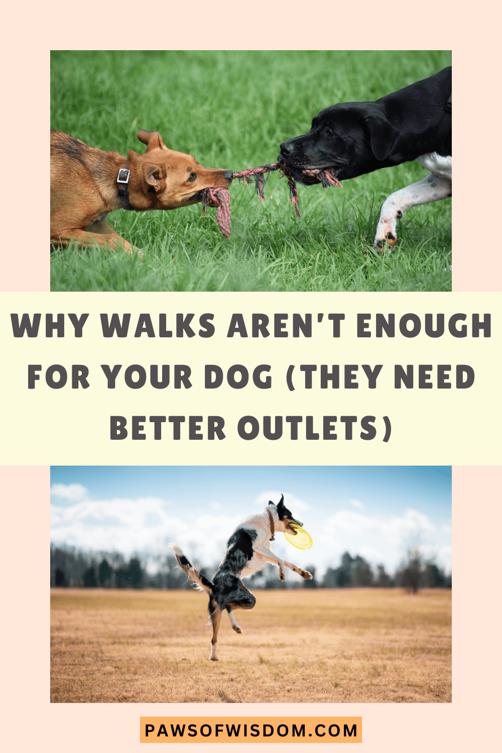 Why walks aren't enough pin image