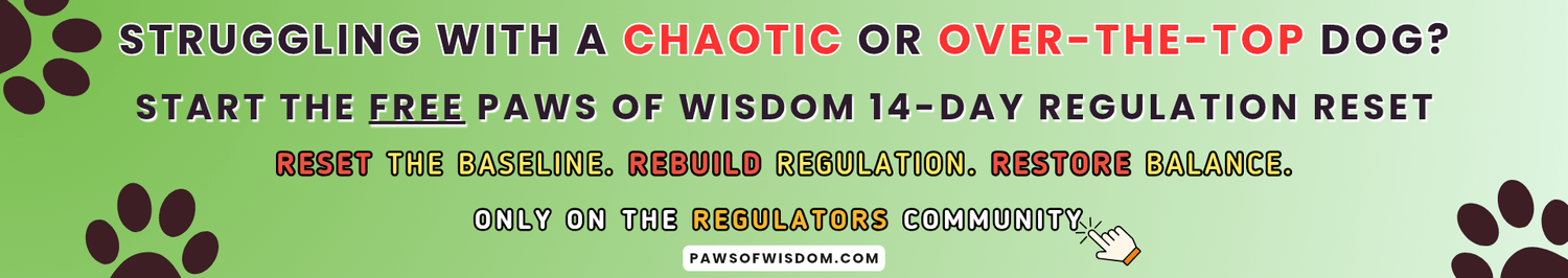 paws of wisdom community banner