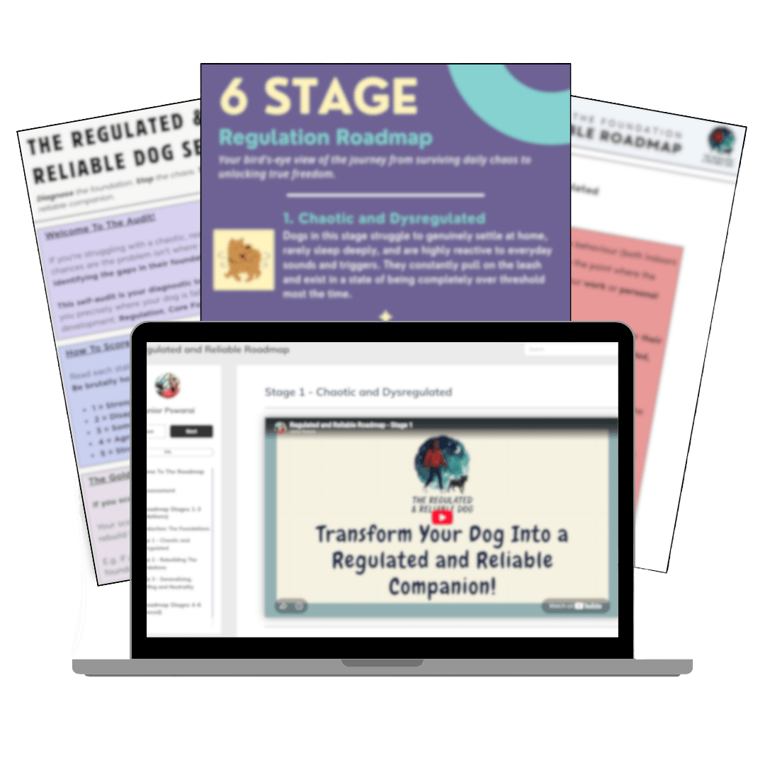 regulated roadmap pin image