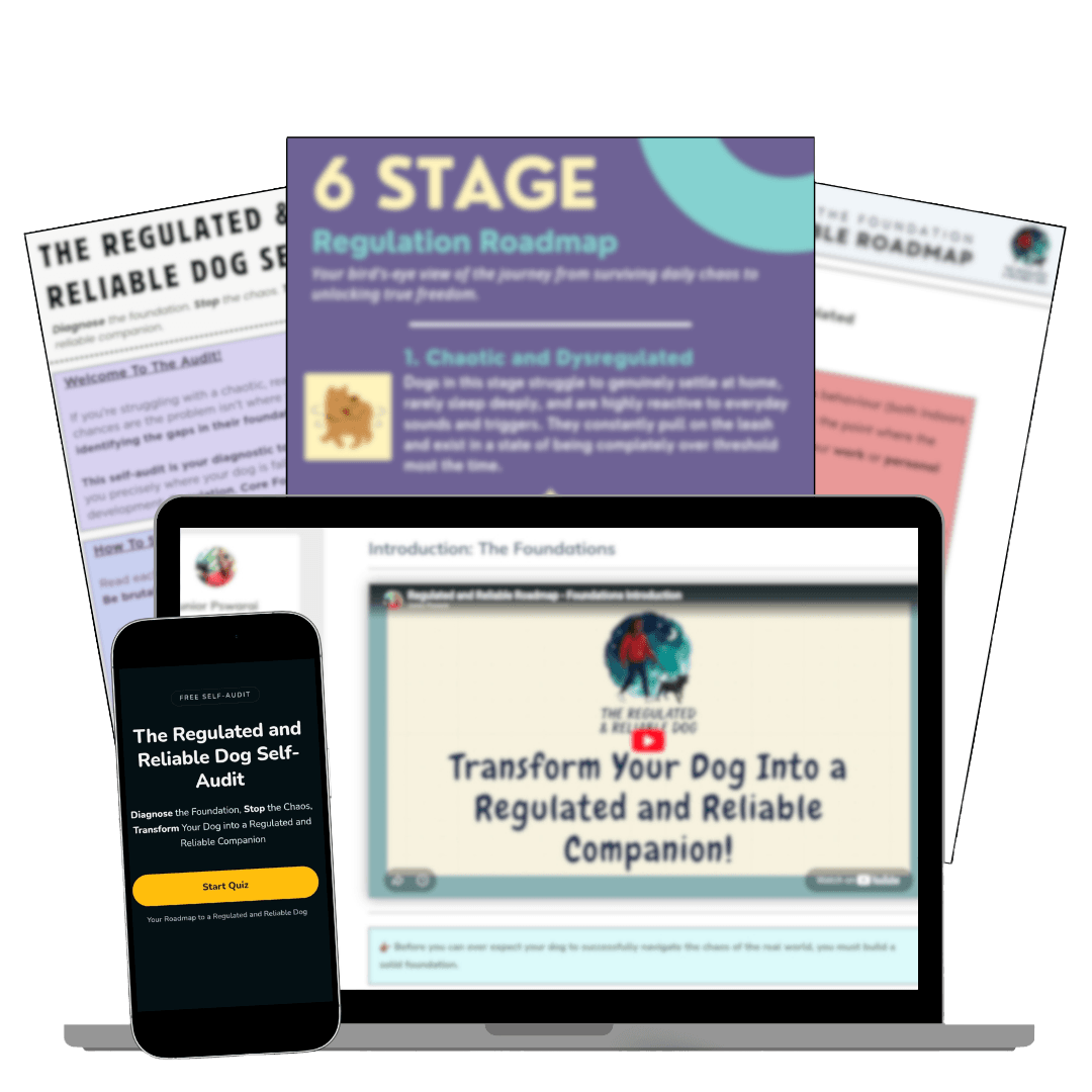 regulated roadmap pin image