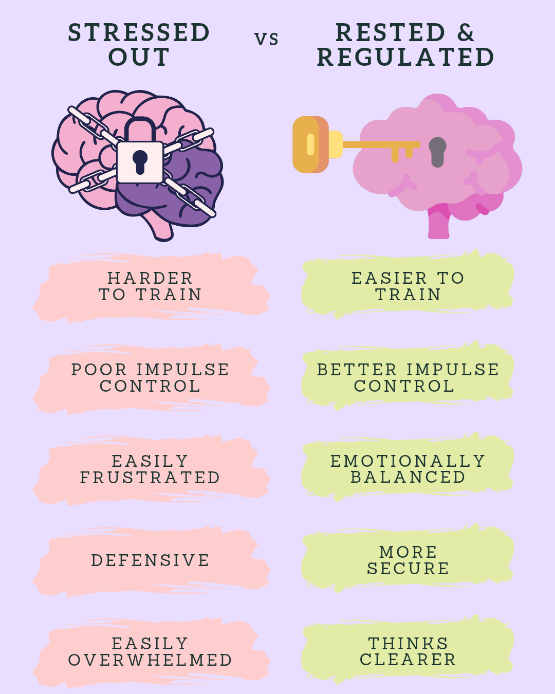 regulated vs dysregulated dog behaviour