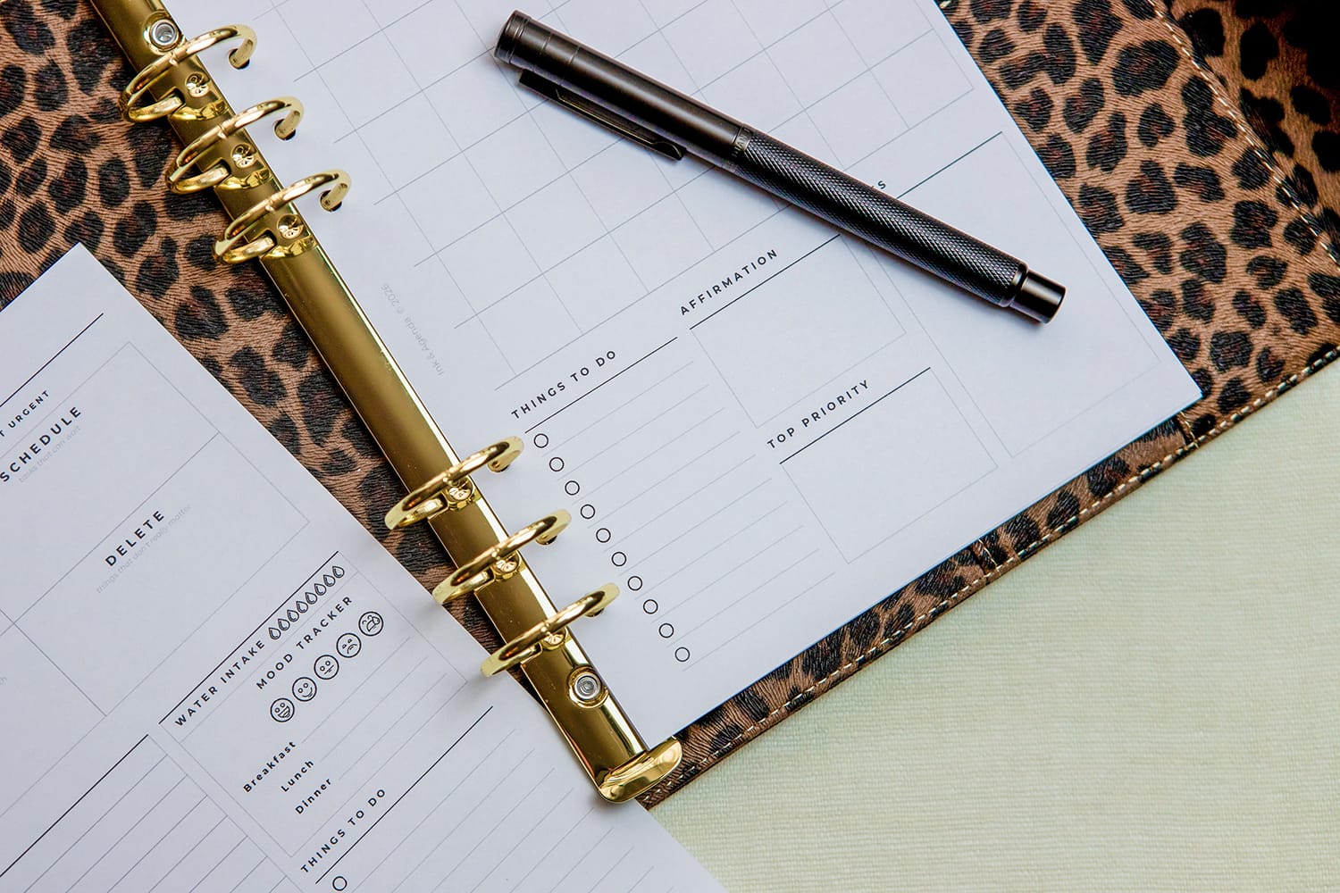 Ink & Agenda planner, hands writing in an open planner