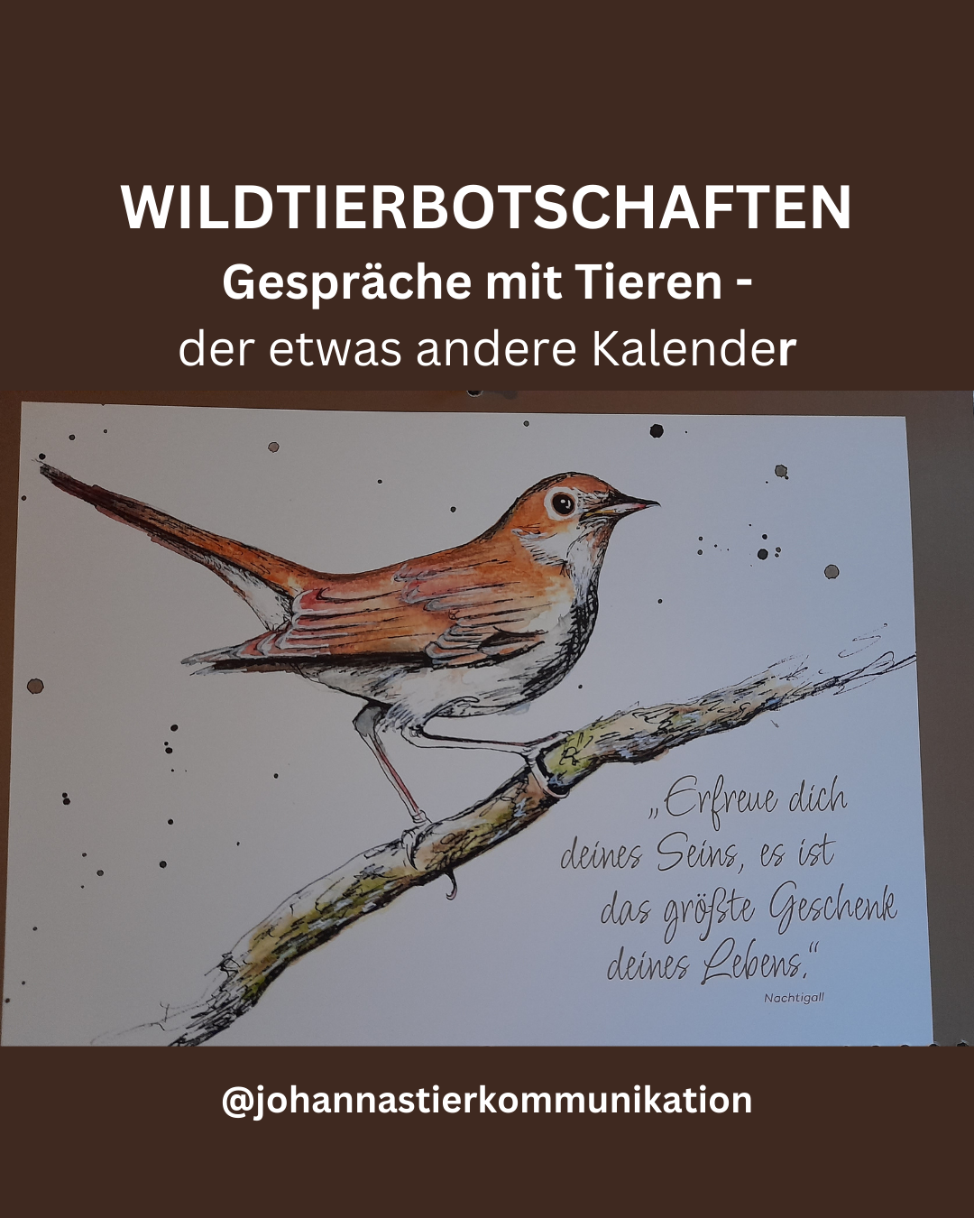 Wandkalender Wildtierbotschaften - Gespräche mit Tieren