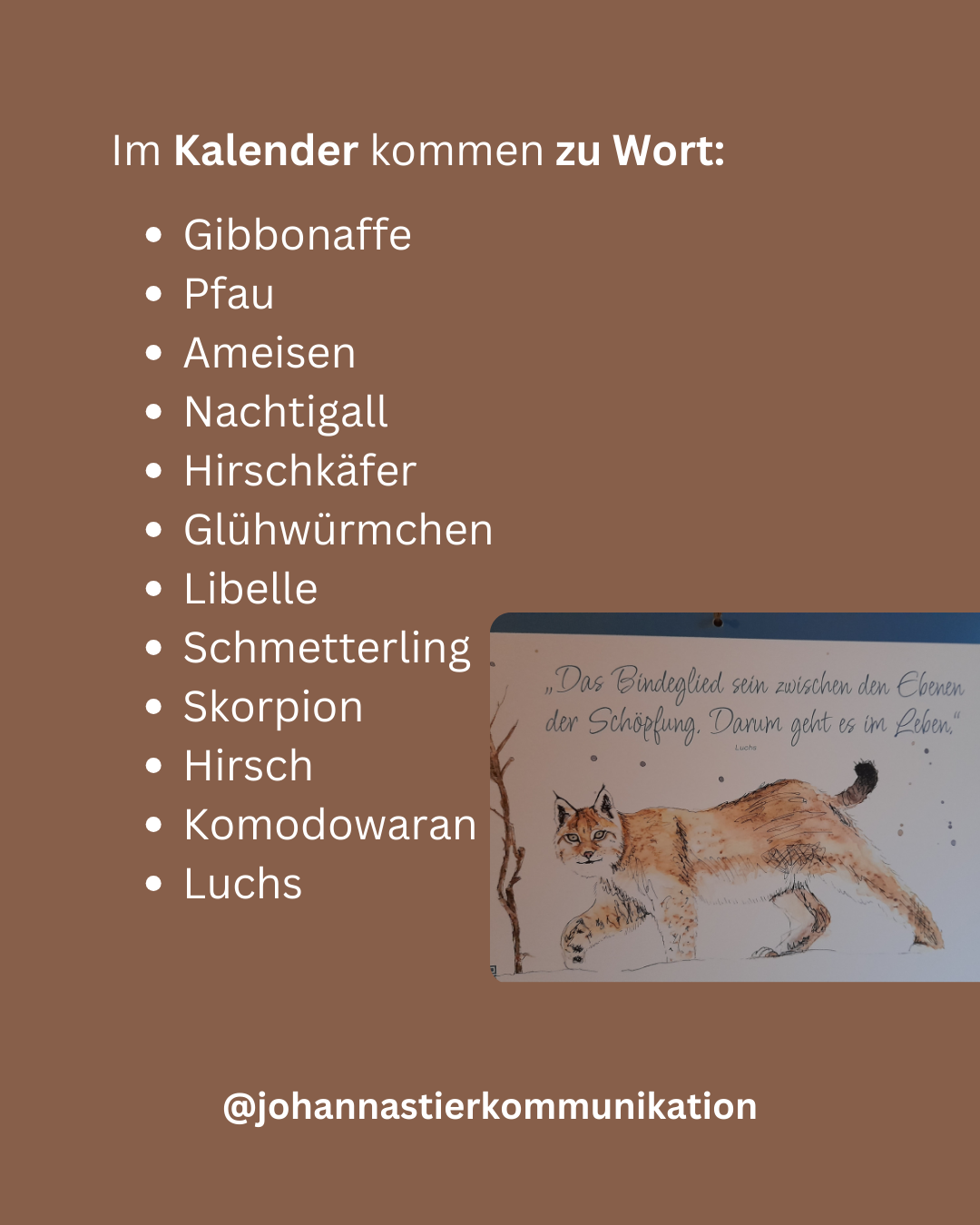 Wandkalender Wildtierbotschaften - Gespräche mit Tieren